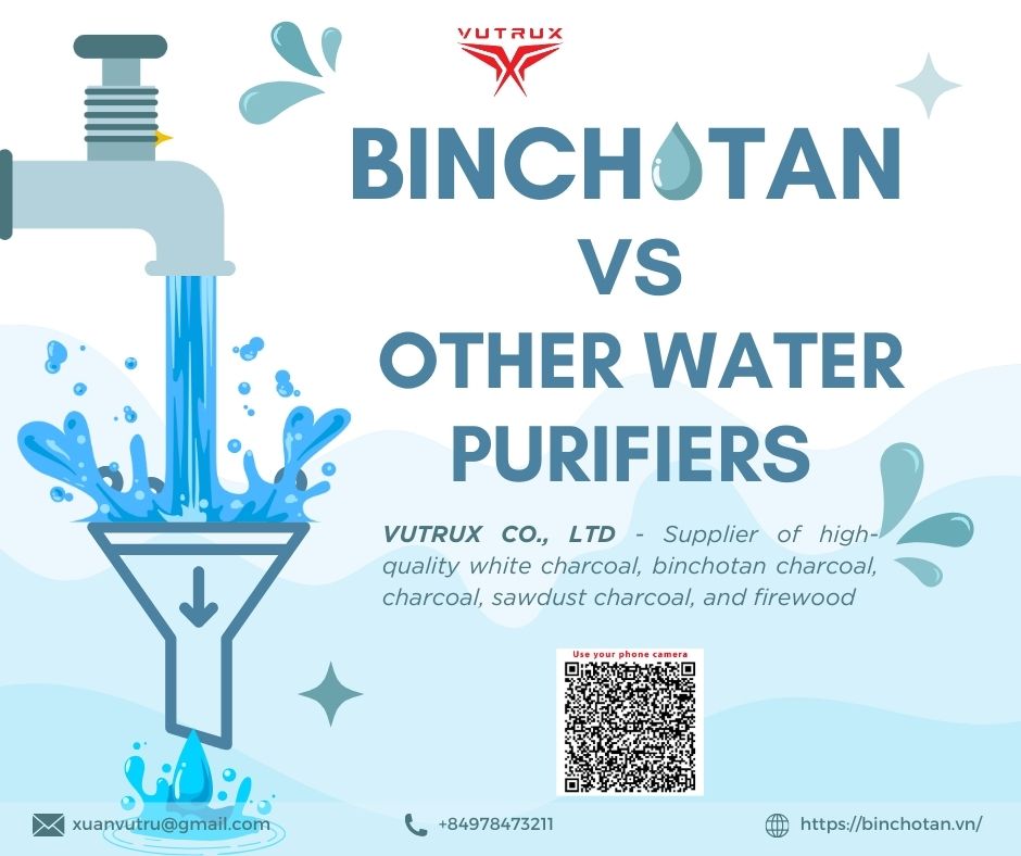 Binchotan vs. Other Water Purifiers